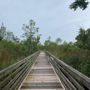 20200824194813761600000000-o