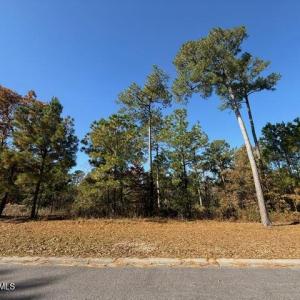 LOT 490