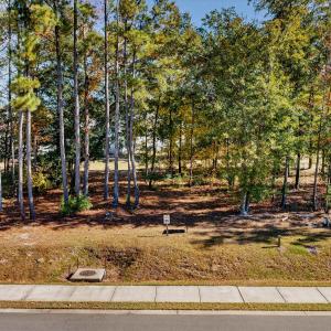 Pic 12