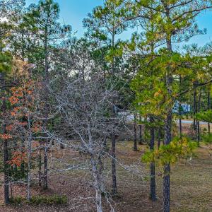 DJI_20251116152337_0878_D (1)