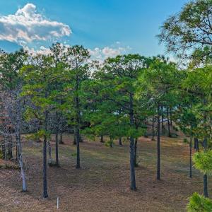 DJI_20251116152406_0881_D