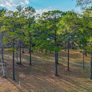 DJI_20251116152400_0880_D