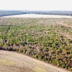 2025-11-16-15-10-16-587 (2)