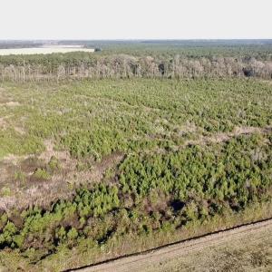 2025-11-16-15-09-50-229