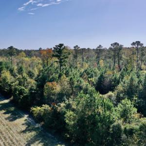 Tedder Drone 8