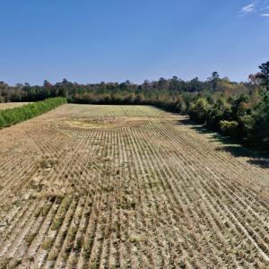 Tedder Drone 7