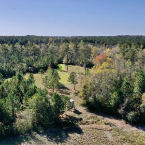 Tedder Drone 3