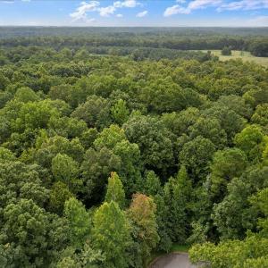 06-DJI_0042