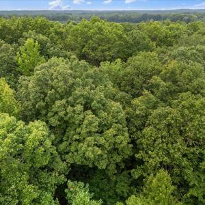 13-DJI_0066