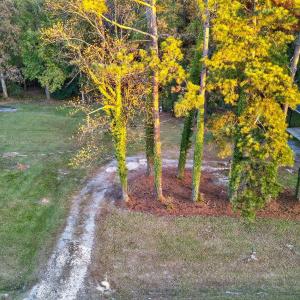 65-web-or-mls-DJI_20251114165731_0511_D