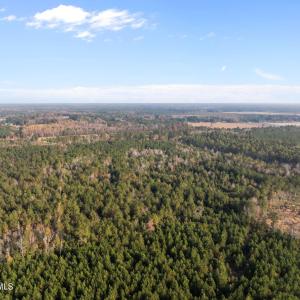 1449 Pameter Road (4)