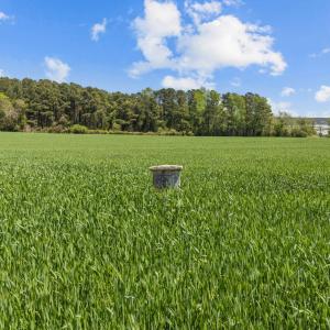 517 Queens Creek Rd (29)