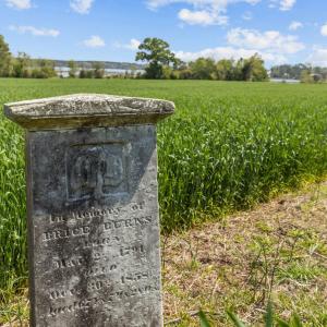 517 Queens Creek Rd (30)