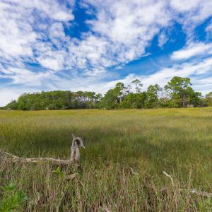 16-web-or-mls-chadwick-visuals-1-trestle