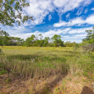 12-web-or-mls-chadwick-visuals-1-trestle