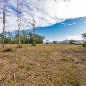 17-web-or-mls-chadwick-visuals-1-trestle