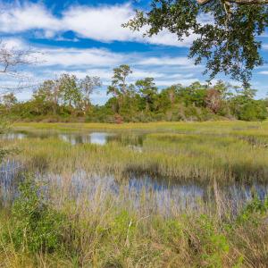 8-web-or-mls-chadwick-visuals-1-trestle-