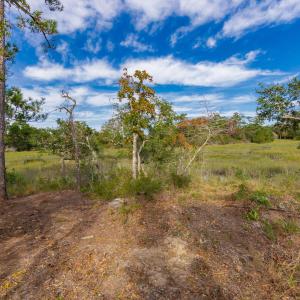 9-web-or-mls-chadwick-visuals-1-trestle-