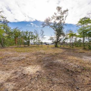 7-web-or-mls-chadwick-visuals-1-trestle-