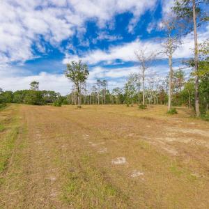 19-web-or-mls-chadwick-visuals-1-trestle