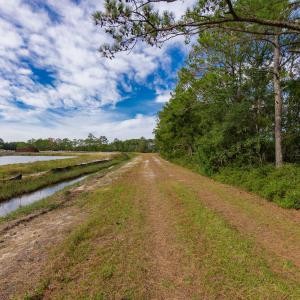 11-web-or-mls-chadwick-visuals-1-trestle