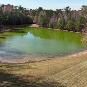 DJI_20251118113759_0219_D