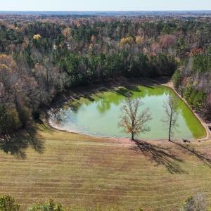 DJI_20251118113405_0208_D