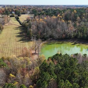 DJI_20251118113443_0209_D