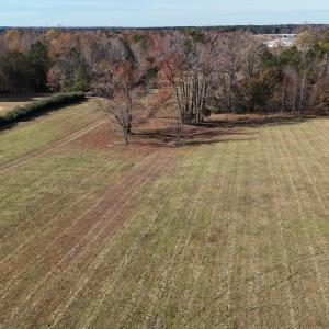 DJI_20251118113728_0217_D