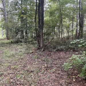 creek bend pic 24