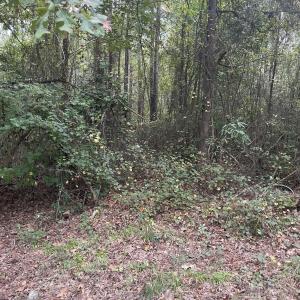 creek bend pic 20