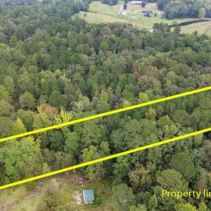 aerial lot 31