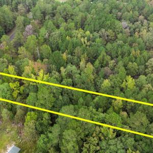 aerial lot 31 1