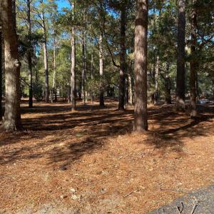 RIVER RUN PLANTATION