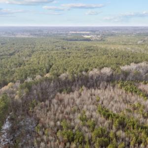 8-web-or-mls-DJI_20251209145100_0218_D