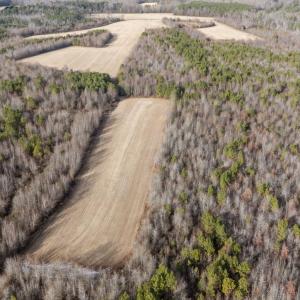 7-web-or-mls-DJI_20251209145021_0217_D