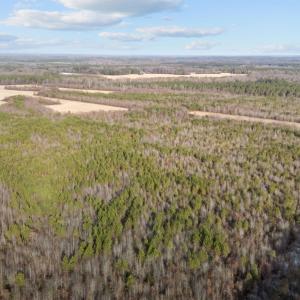 9-web-or-mls-DJI_20251209145157_0219_D