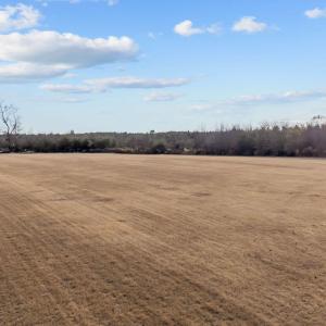 12-web-or-mls-DJI_20251209145608_0223_D