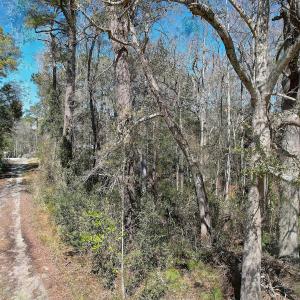 View of Hollywood Street