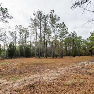 Cleared Homesite