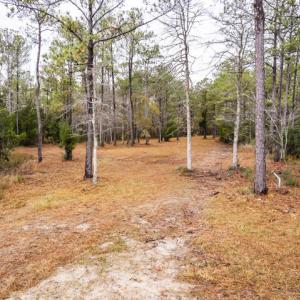 Homesite Ready to Build