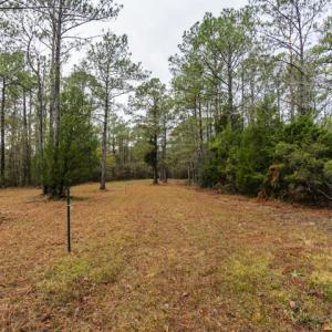 Drainfield for Septic