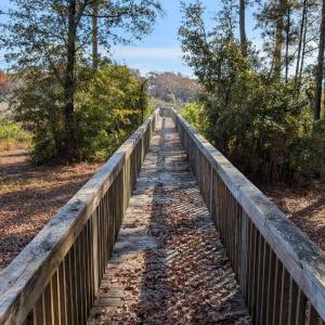 Observation Deck Pier