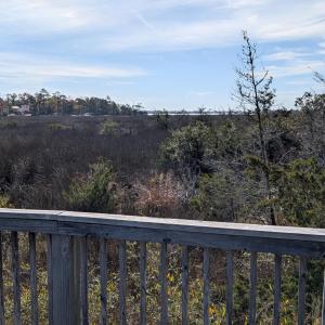 Observation Deck View