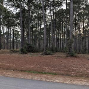 Center left of lot 76