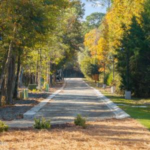 Oaks Street from Entrance