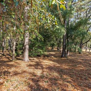 4002 Barnes Bluff Drive, Southport, N.C.