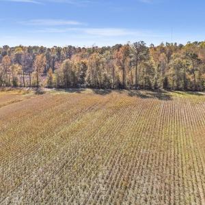 DJI_20251106102153_0100_D