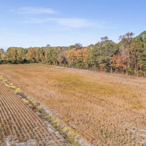 DJI_20251106102342_0115_D