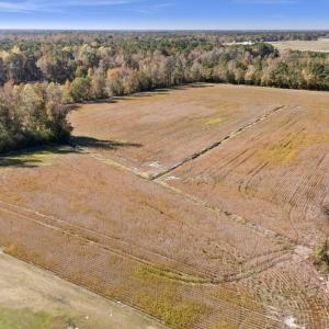 DJI_20251106101900_0081_D